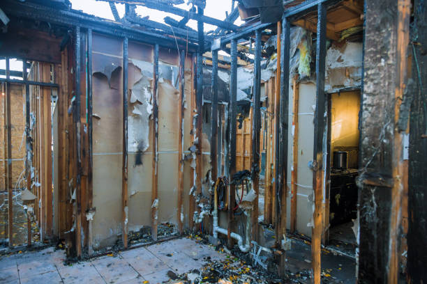 Professional Fire Damage Repair technician working in Seminole, FL