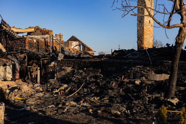 Reliable Fire Damage Repair contractor in Seminole, FL by Fire Damage Doption